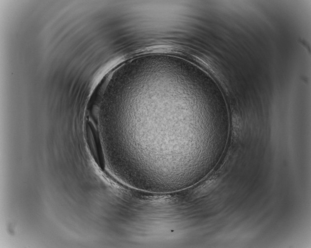 X0000100781426200806261619