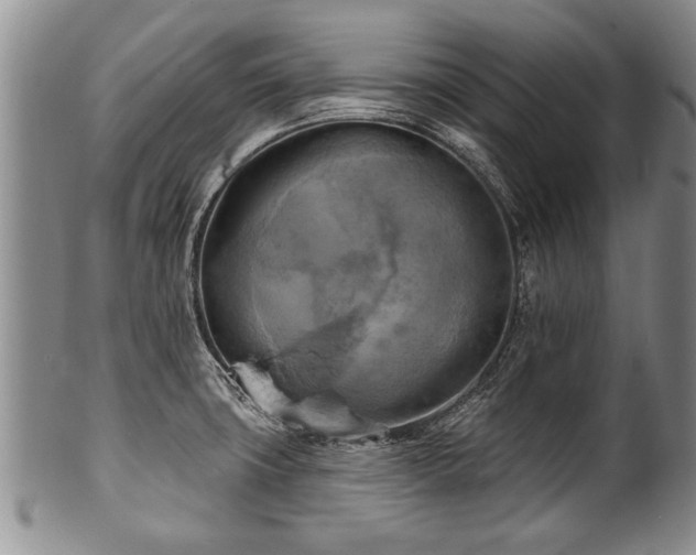 X0000100781427200806261619