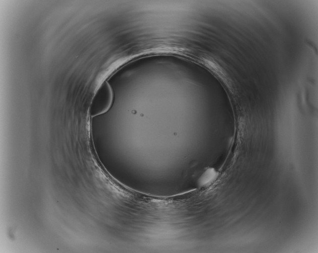 X0000100781428200806261619