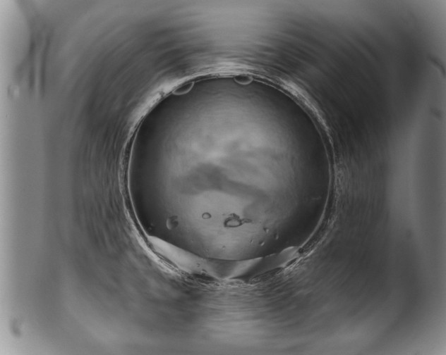 X0000100781429200806261619