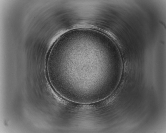 X0000100781430200806261619