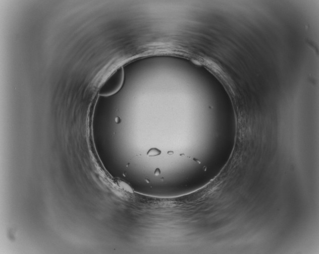 X0000100781431200806261619