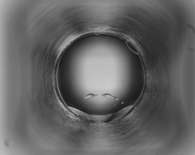 X0000100781432200806261619