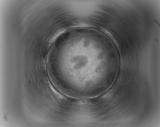 X0000100781433200806261619