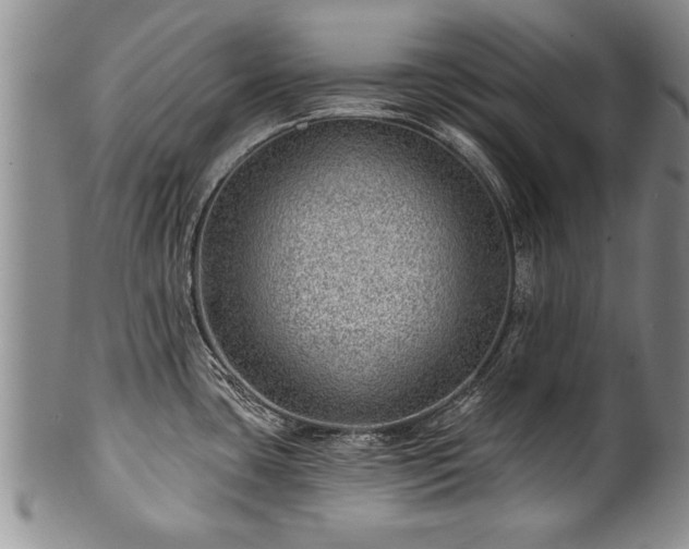 X0000100781435200806261619