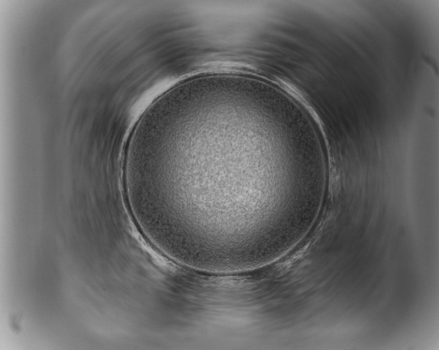 X0000100781437200806261619