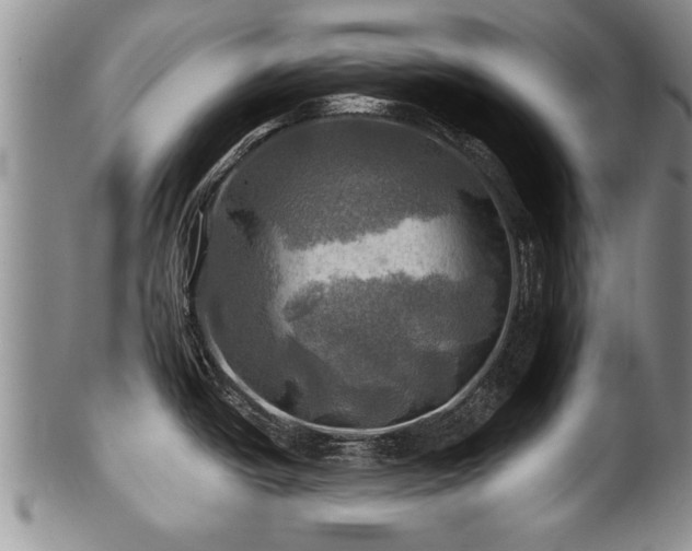 X0000100781438200806261619