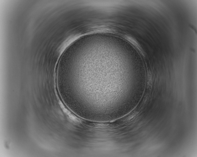 X0000100781439200806261619