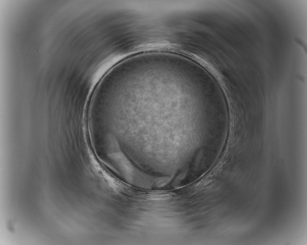 X0000100781440200806261619