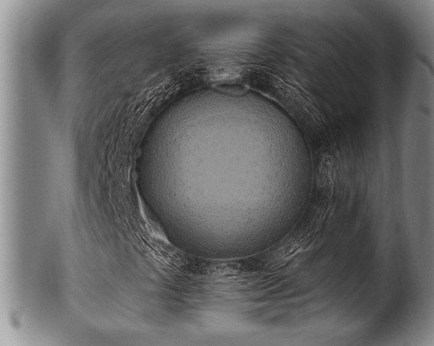 X0000100781441200806261618