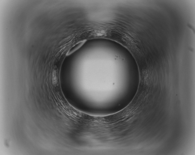 X0000100781442200806261618