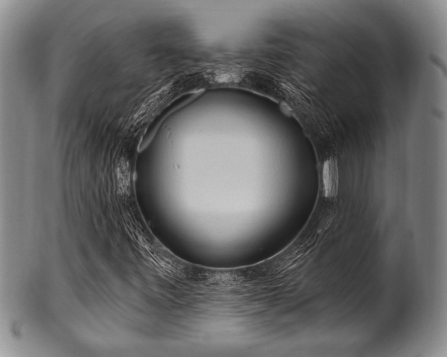 X0000100781443200806261618