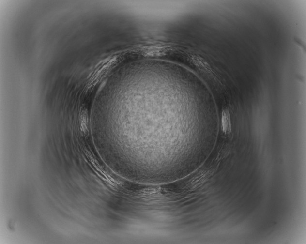 X0000100781444200806261618