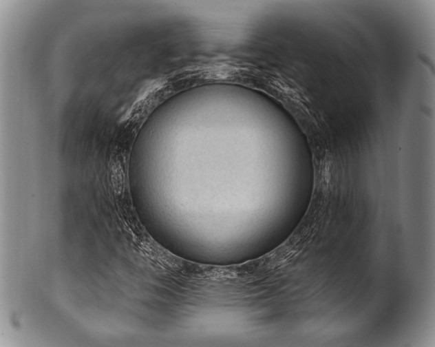 X0000100781446200806261618