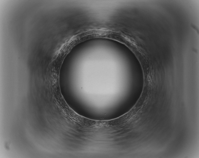 X0000100781447200806261618