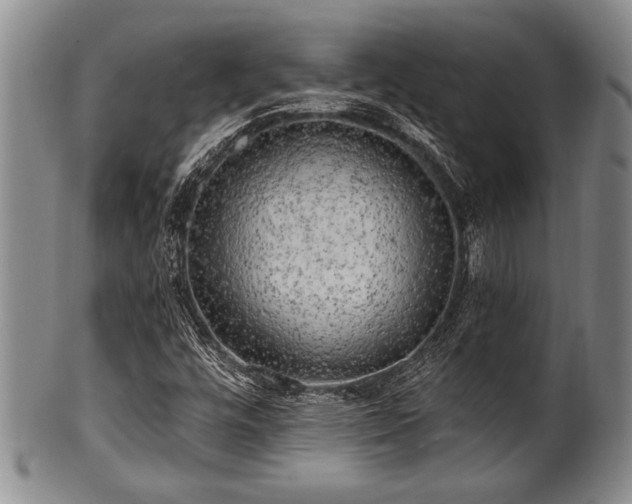 X0000100781448200806261618