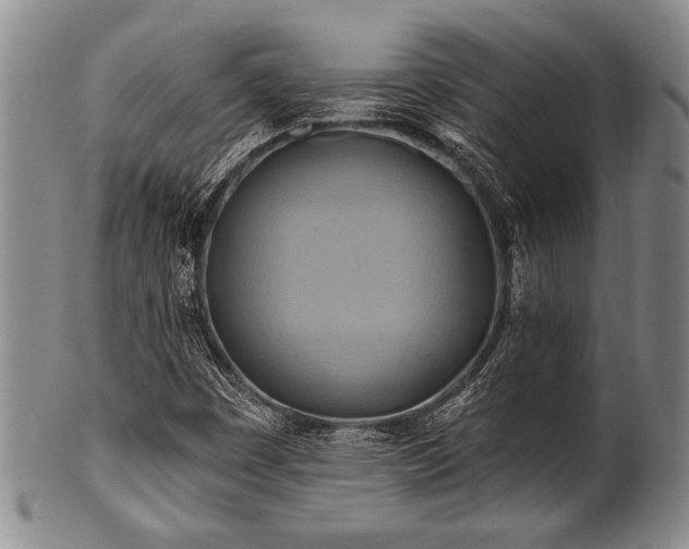 X0000100781449200806261618