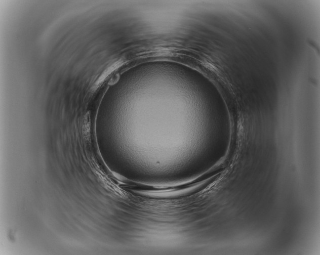 X0000100781450200806261618