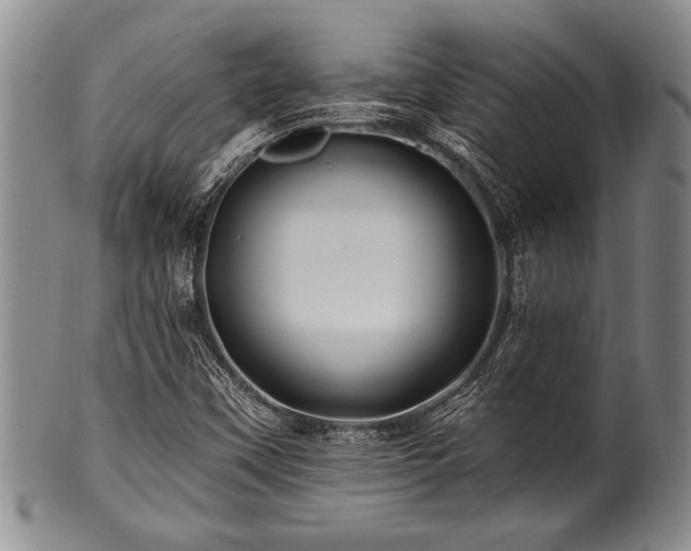 X0000100781451200806261618