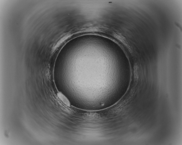 X0000100781452200806261618