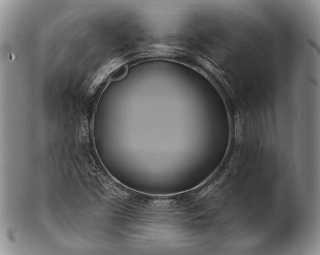 X0000100781453200806261618