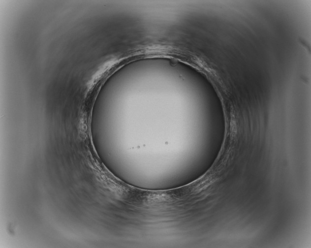 X0000100781454200806261618