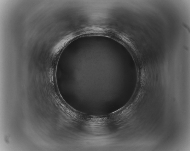 X0000100781455200806261618