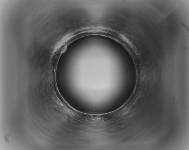 X0000100781456200806261618