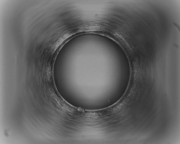 X0000100781457200806261618