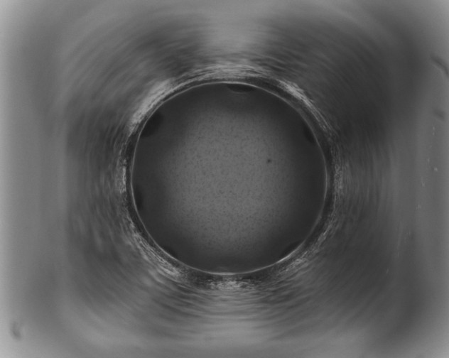 X0000100781459200806261618