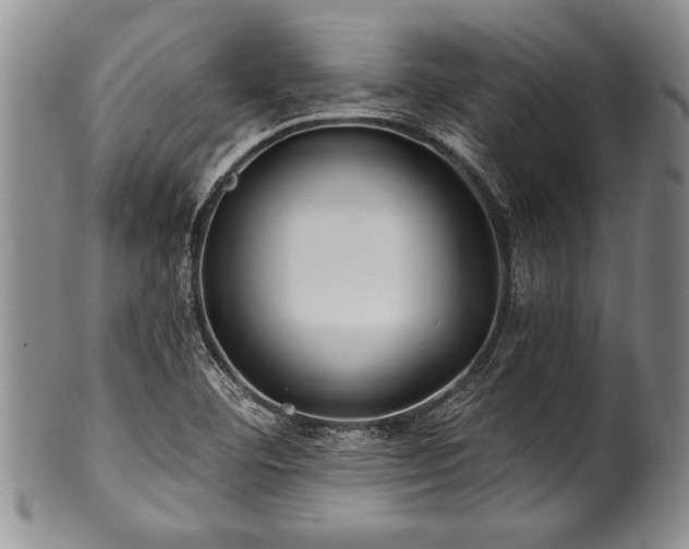 X0000100781460200806261618