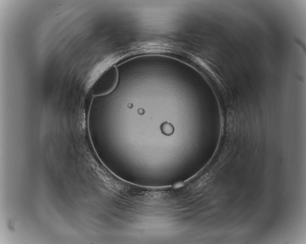 X0000100781461200806261618