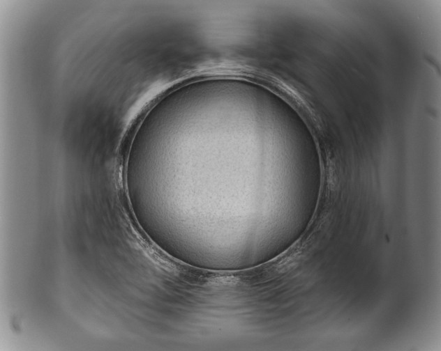 X0000100781462200806261618