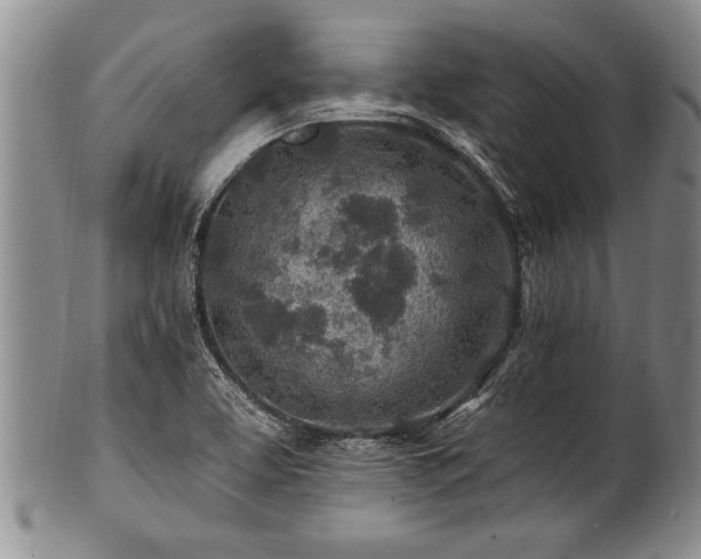 X0000100781463200806261618