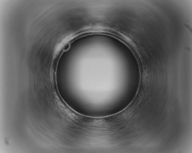 X0000100781464200806261618