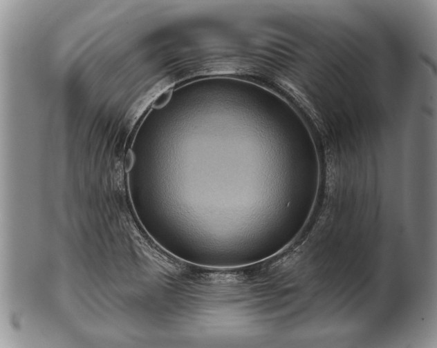 X0000100781465200806261618