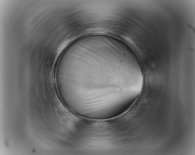 X0000100781466200806261618