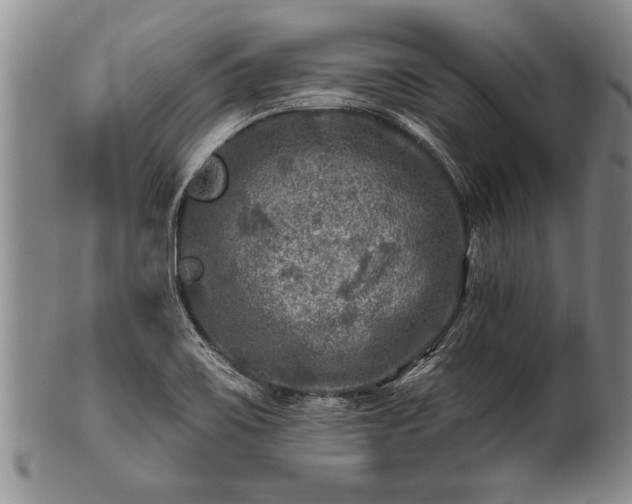 X0000100781467200806261618