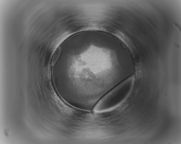 X0000100781468200806261618