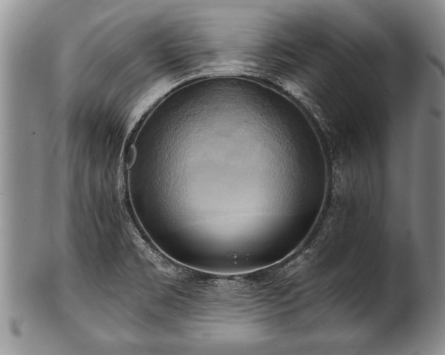 X0000100781469200806261618