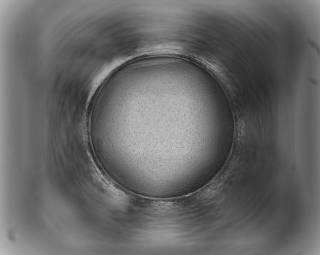 X0000100781470200806261618