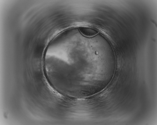 X0000100781471200806261618