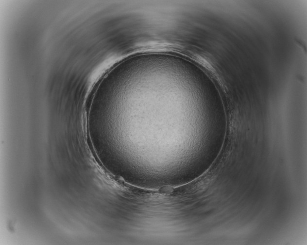 X0000100781472200806261618