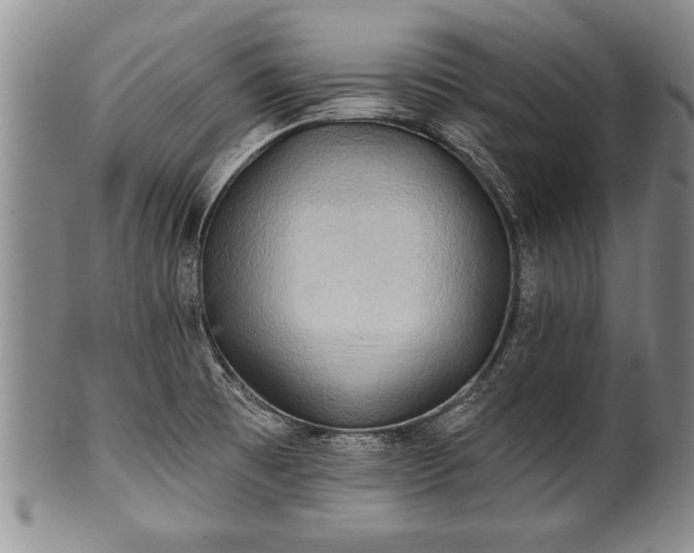 X0000100781473200806261618