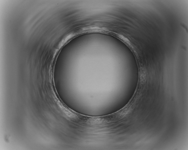 X0000100781474200806261618