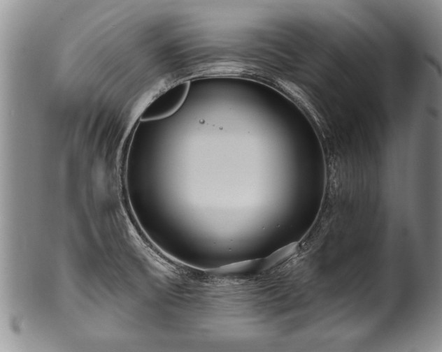 X0000100781475200806261618