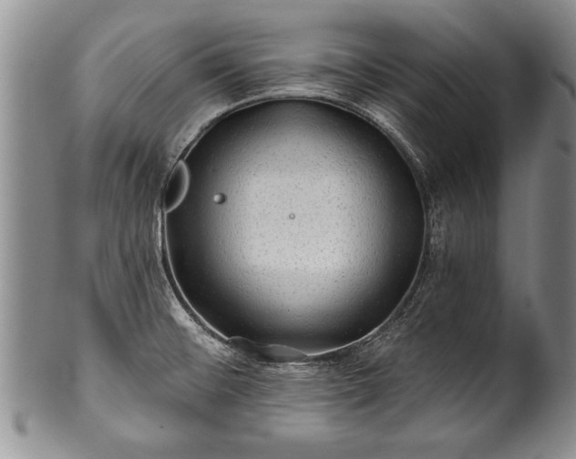 X0000100781476200806261618