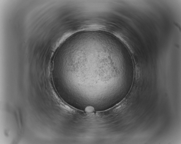 X0000100781477200806261618