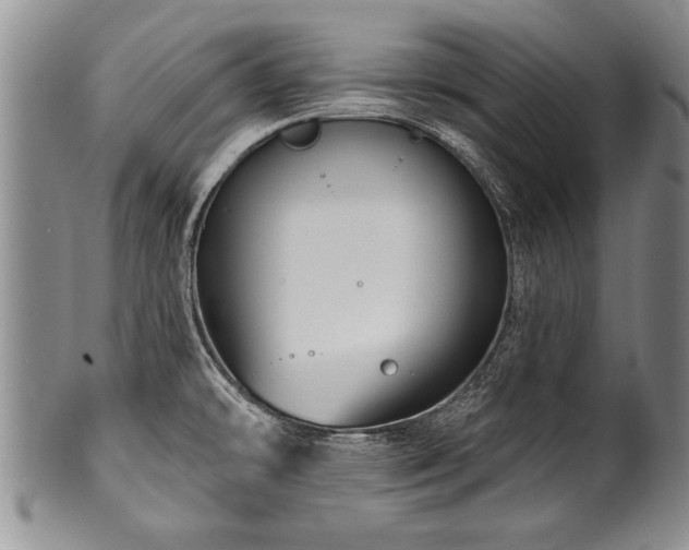 X0000100781478200806261618