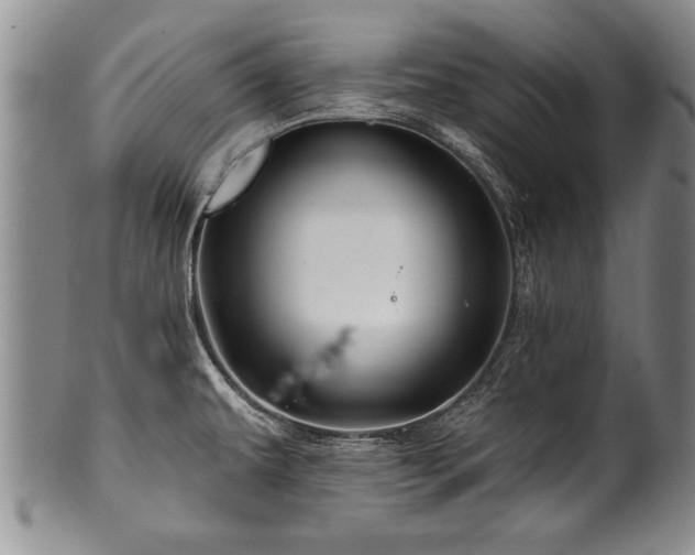 X0000100781479200806261618